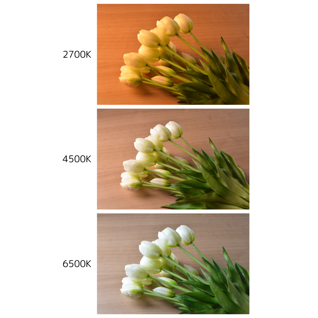 キャスター付LEDパネル 2700~6500K 30×120cm FB-1230A